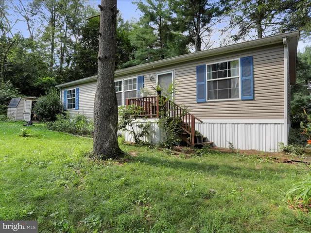 a view of a backyard with plants and large tree