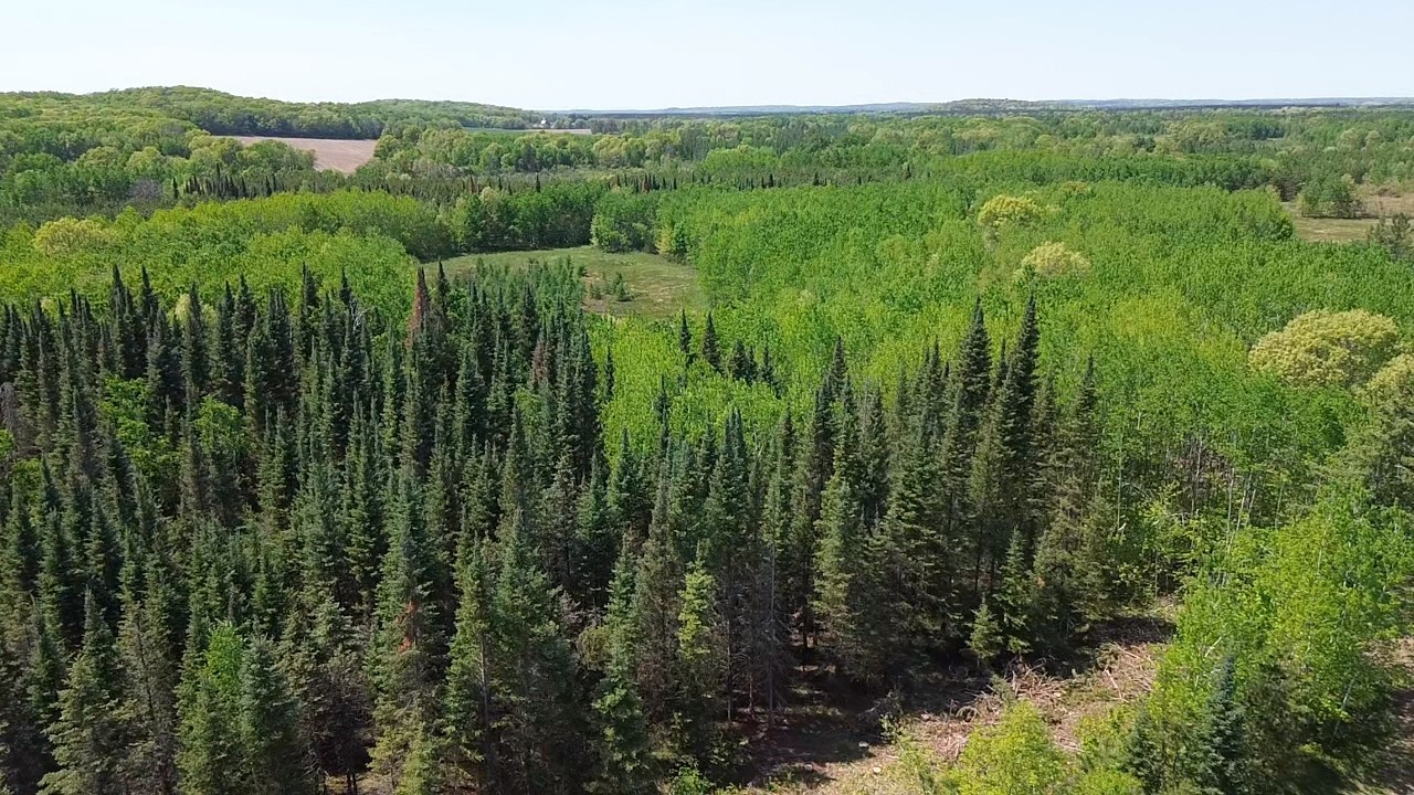 349 X 5th Avenue Shell Lake, WI 54871 - Photo 35 of 37
