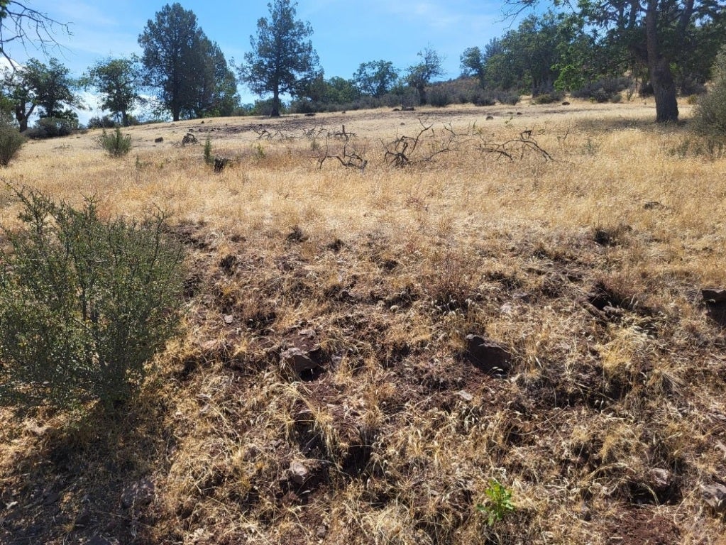 Lot 184 Iron Gate Road Hornbrook, CA 96044 - Photo 1 of 6 Gallery Image 1