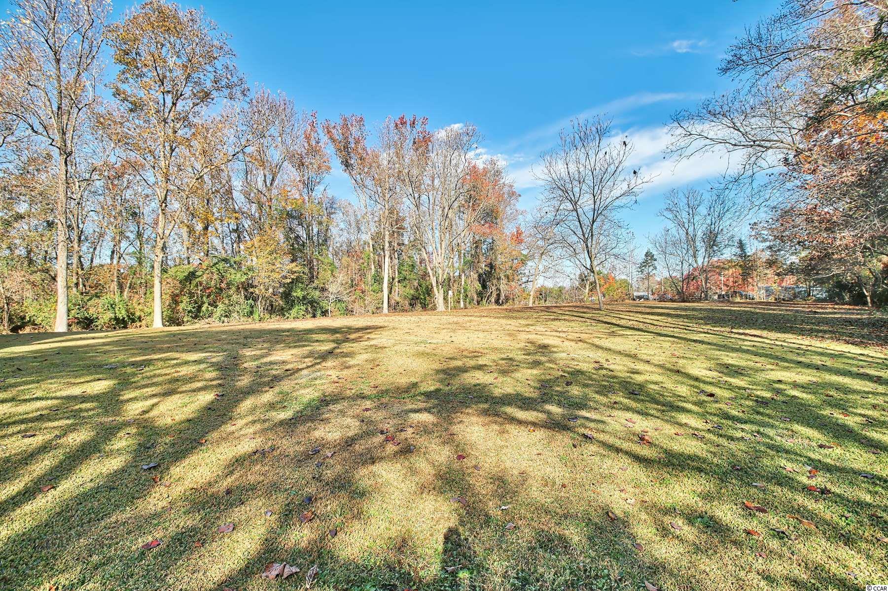 1280 Busy Corner Road Conway, SC 29527 - Photo 35 of 40 Gallery Image 35