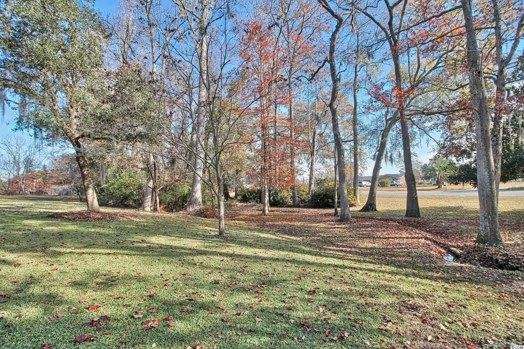 1280 Busy Corner Road Conway, SC 29527 - Photo 38 of 40 Gallery Image 38