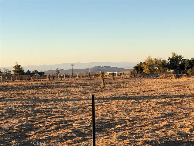 a view of a dry yard with trees