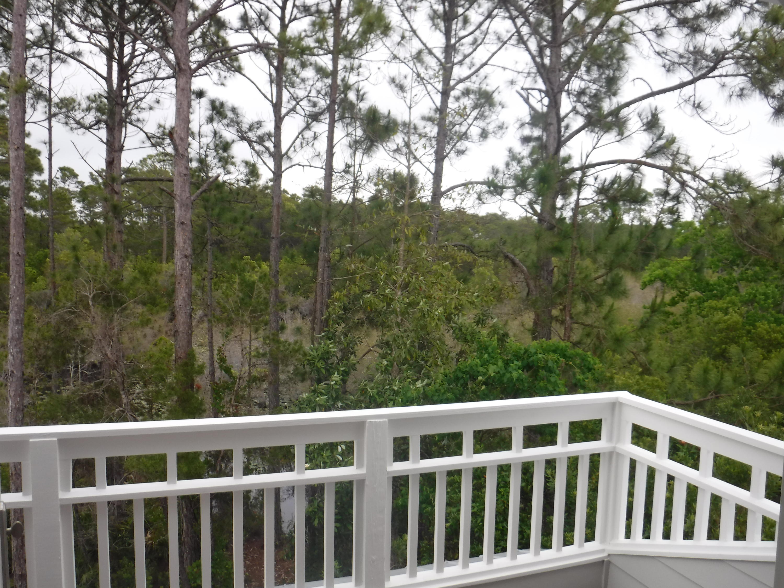 62 Nickajack South Santa Rosa Beach, FL 32459 - Photo 45 of 93 Gallery Image 45
