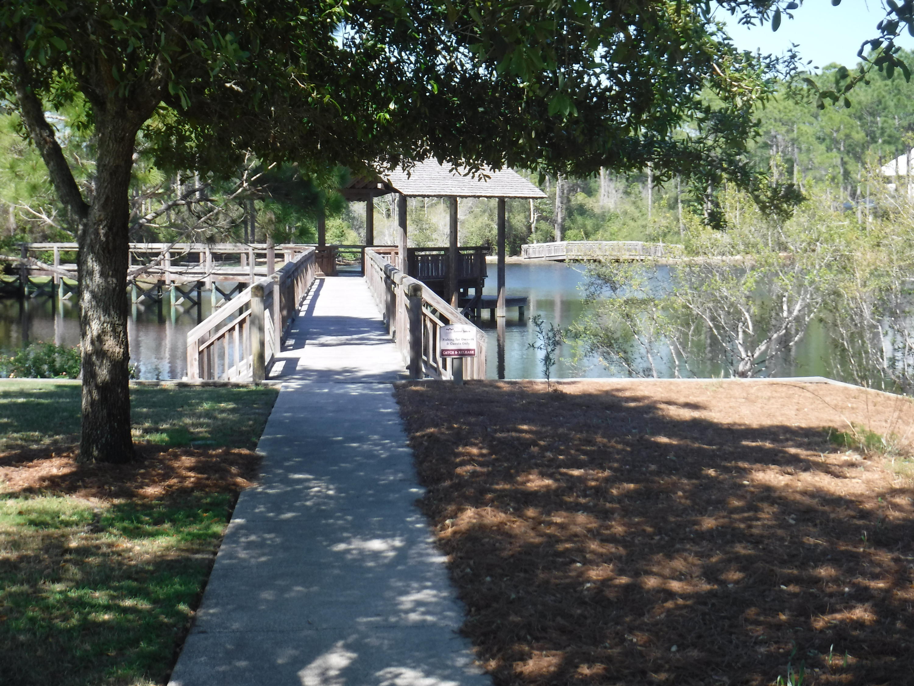 62 Nickajack South Santa Rosa Beach, FL 32459 - Photo 66 of 93 Gallery Image 66