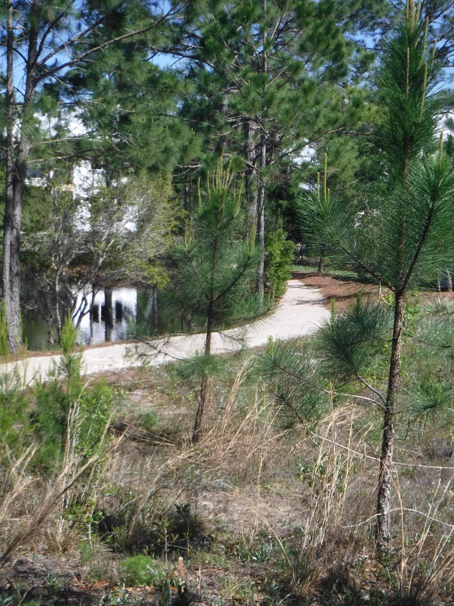 62 Nickajack South Santa Rosa Beach, FL 32459 - Photo 77 of 93 Gallery Image 77