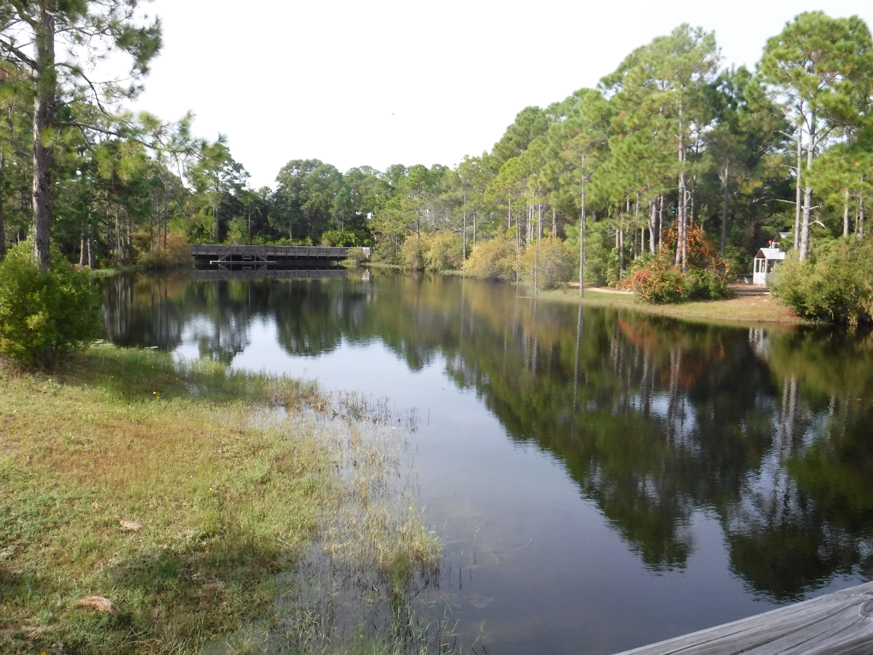 62 Nickajack South Santa Rosa Beach, FL 32459 - Photo 78 of 93 Gallery Image 78