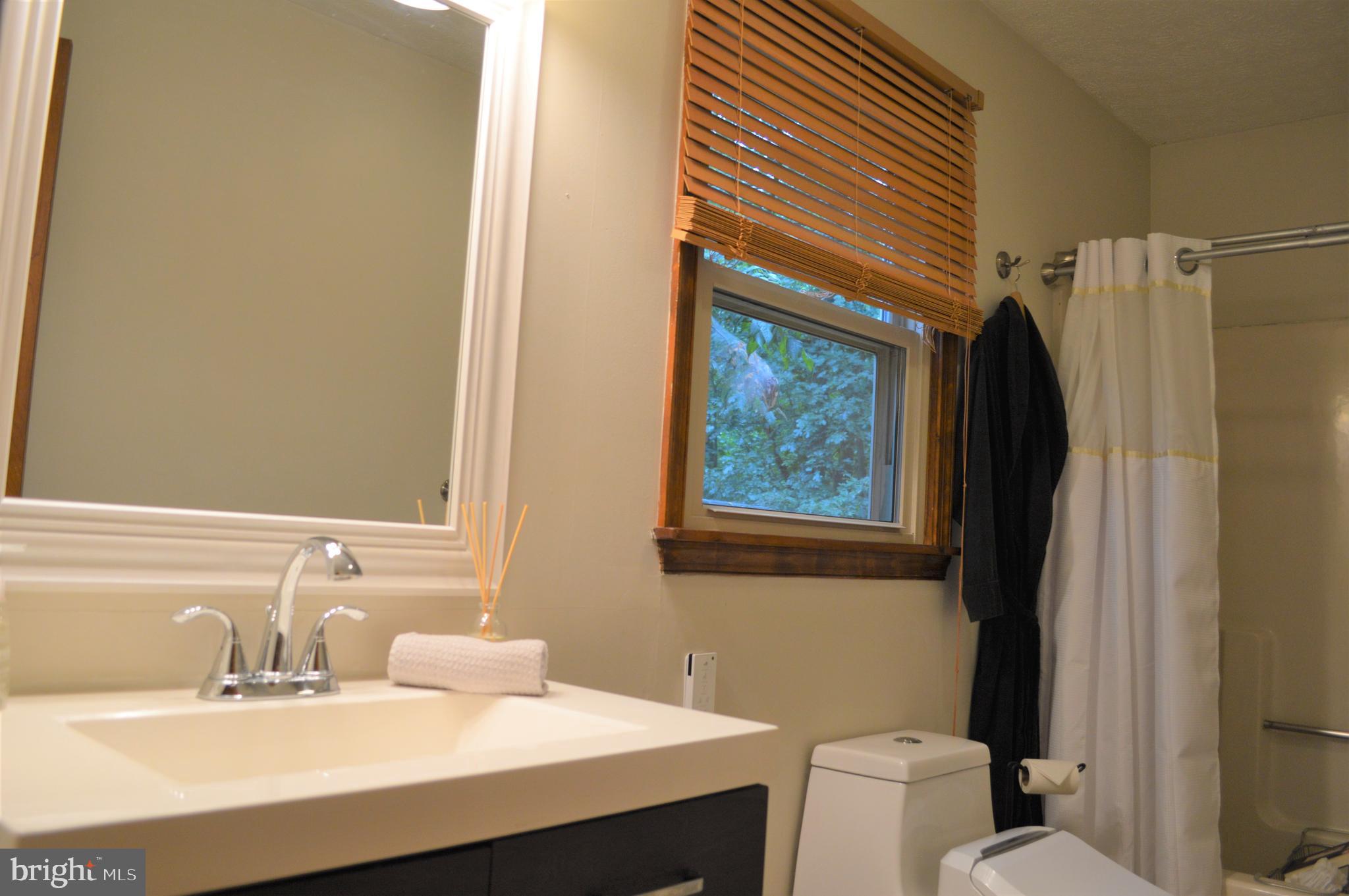 3775 Pious Ridge Road Berkeley Springs, WV 25411 - Photo 20 of 45 Main level full bath