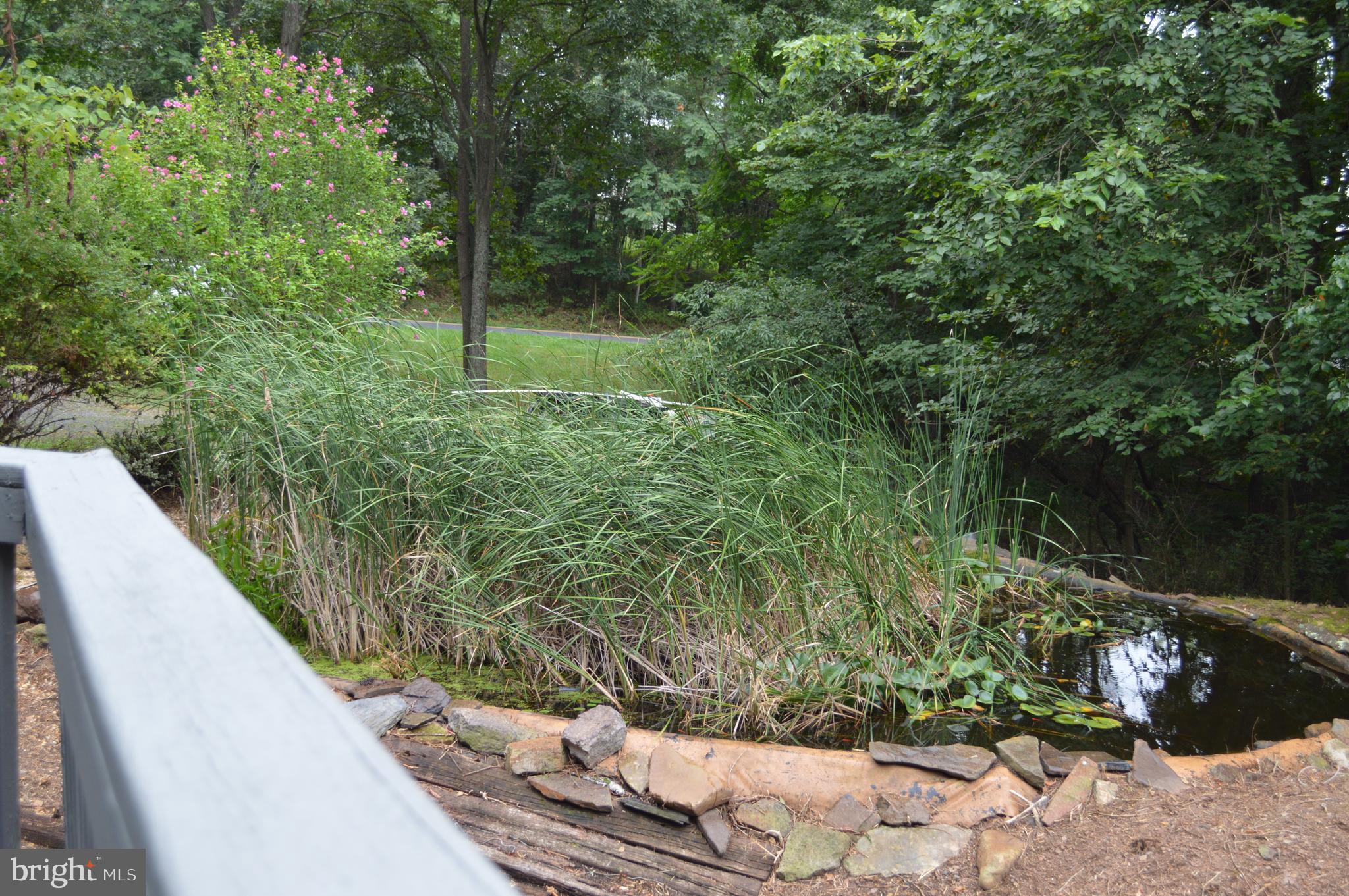 3775 Pious Ridge Road Berkeley Springs, WV 25411 - Photo 36 of 45 Side deck over looks gold fish pond