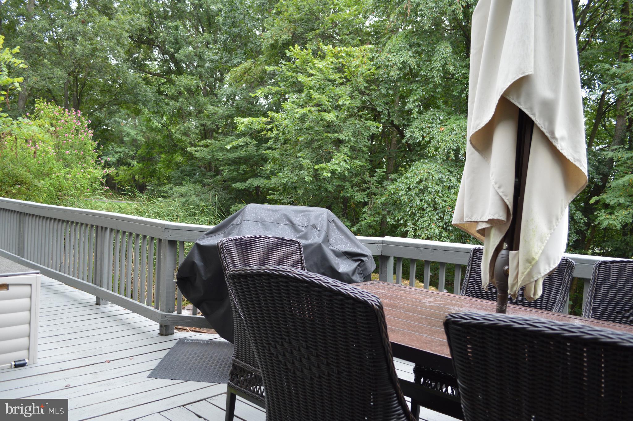 3775 Pious Ridge Road Berkeley Springs, WV 25411 - Photo 37 of 45 Room for entertaining