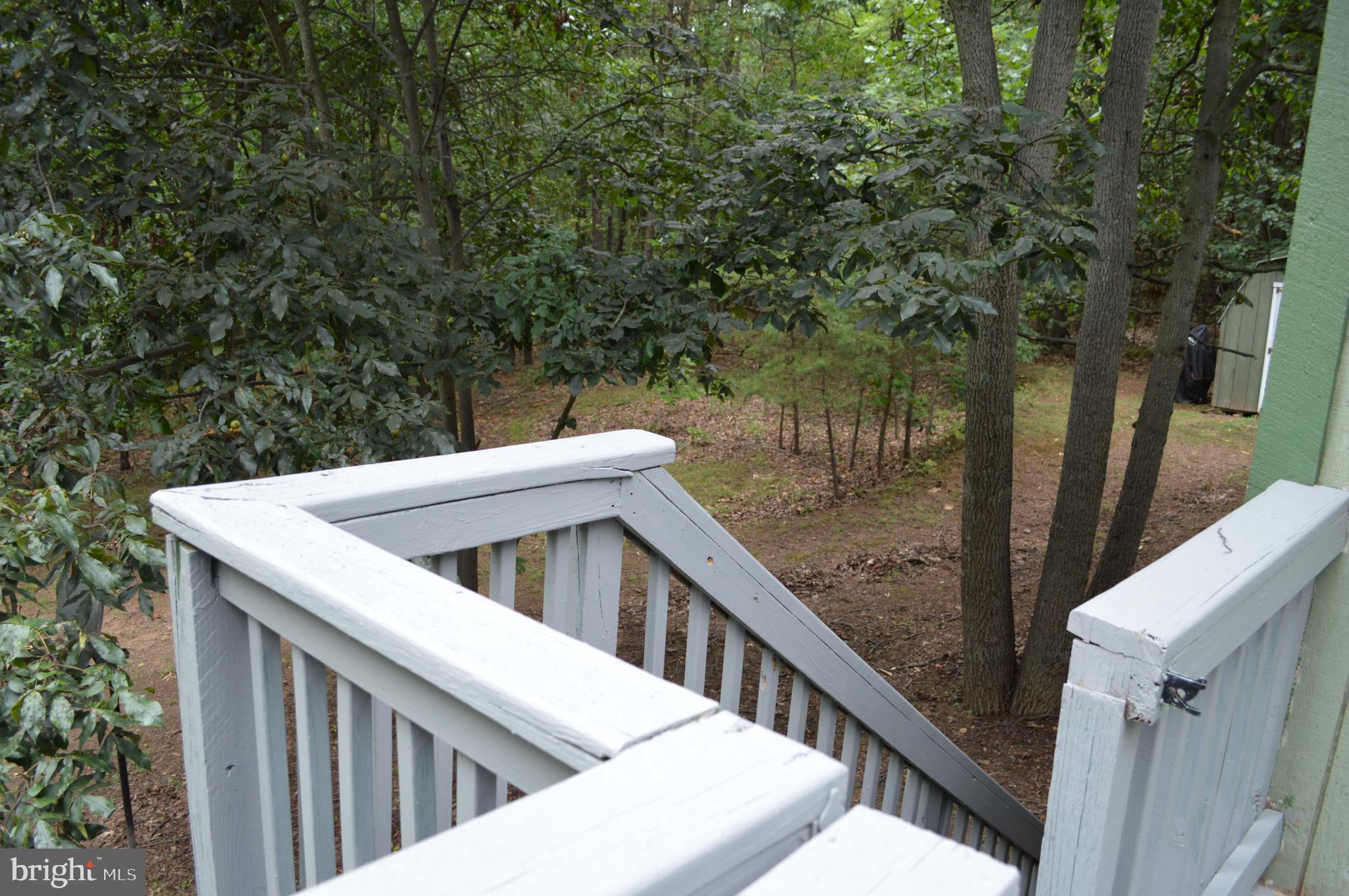 3775 Pious Ridge Road Berkeley Springs, WV 25411 - Photo 40 of 45 Stairs to back yard