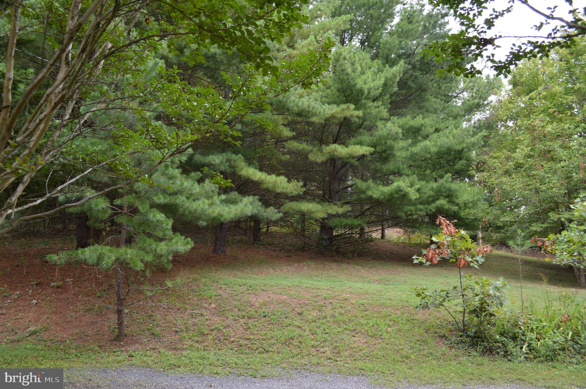 3775 Pious Ridge Road Berkeley Springs, WV 25411 - Photo 42 of 45 Spacious 2 acres all around home