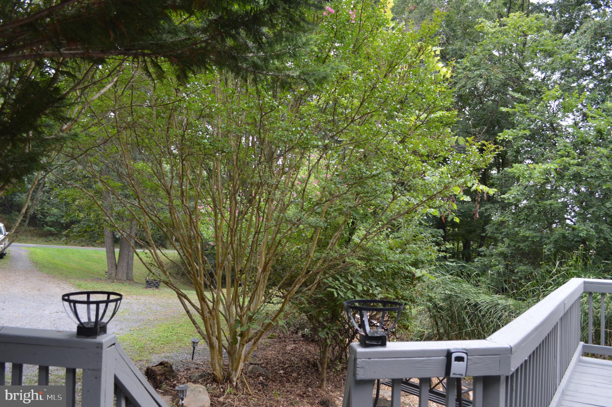 3775 Pious Ridge Road Berkeley Springs, WV 25411 - Photo 43 of 45 Front deck access to driveway
