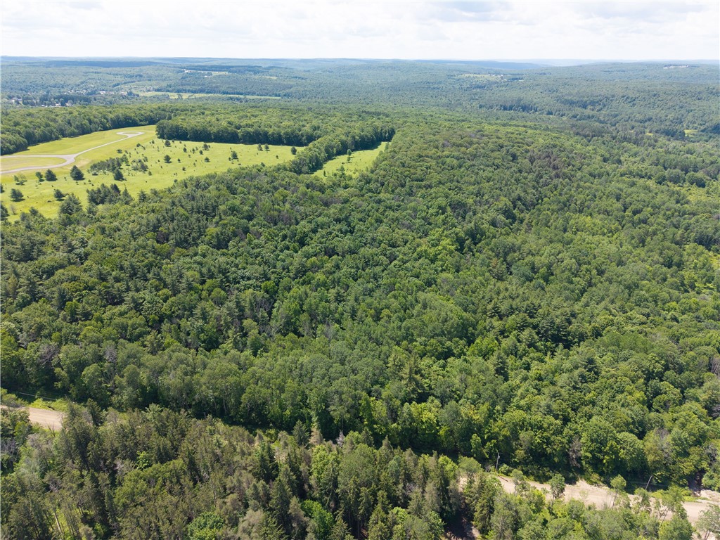 0 Schneider Road Fillmore, NY 14735 - Photo 50 of 50