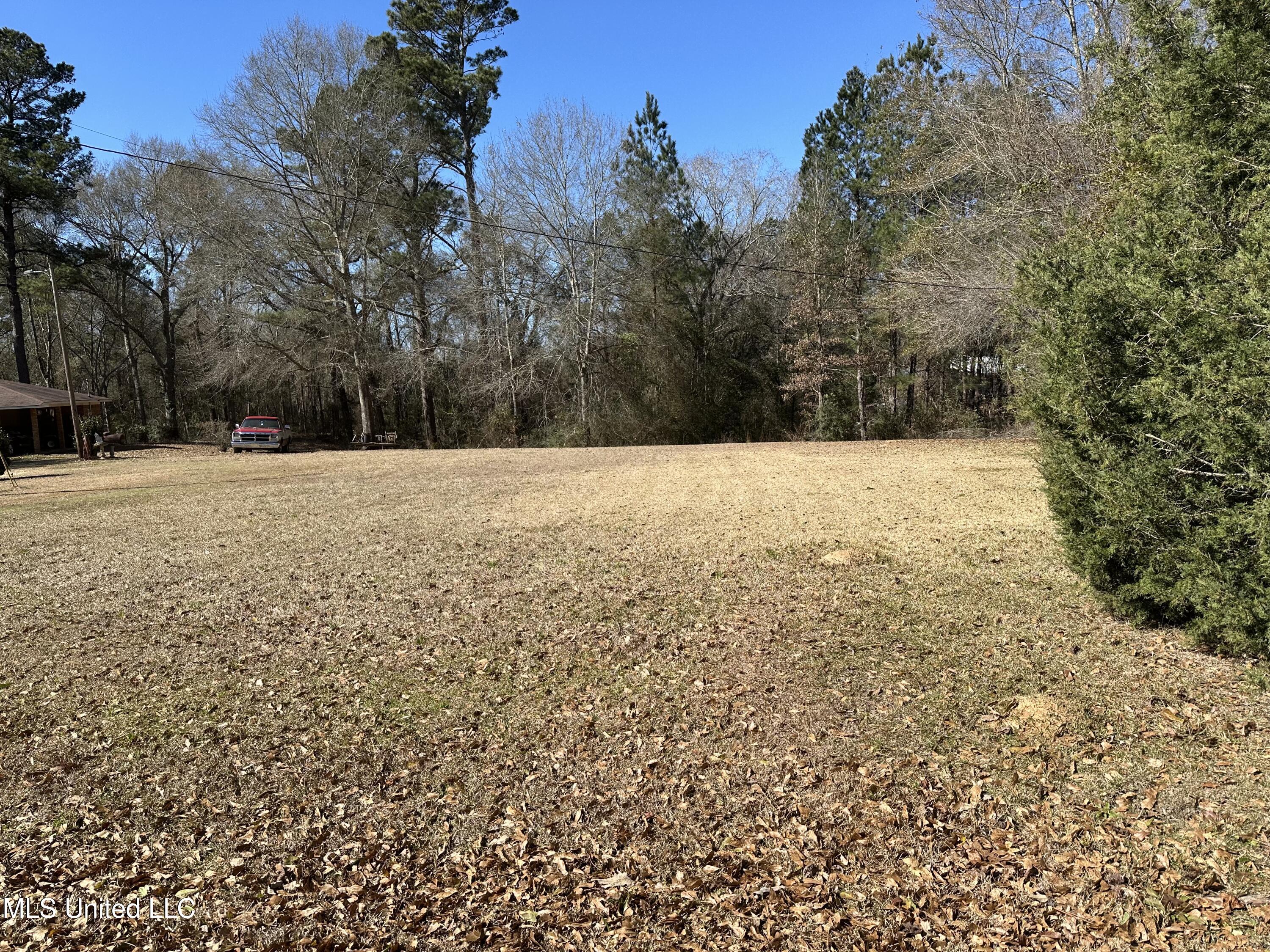 47 Tom Warner Road Tylertown, MS 39667 - Photo 9 of 27 IMG_5446