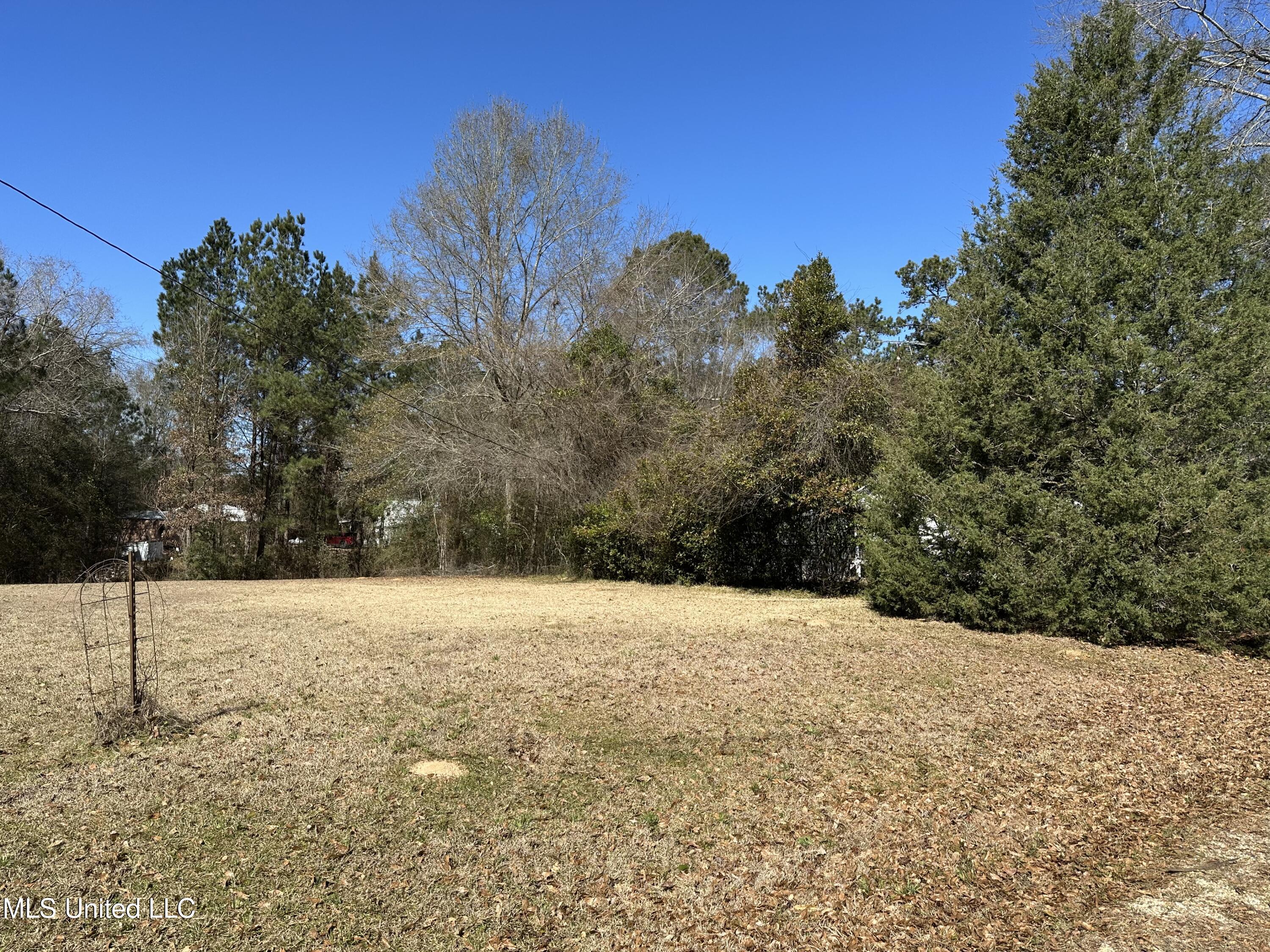 47 Tom Warner Road Tylertown, MS 39667 - Photo 10 of 27 IMG_5447