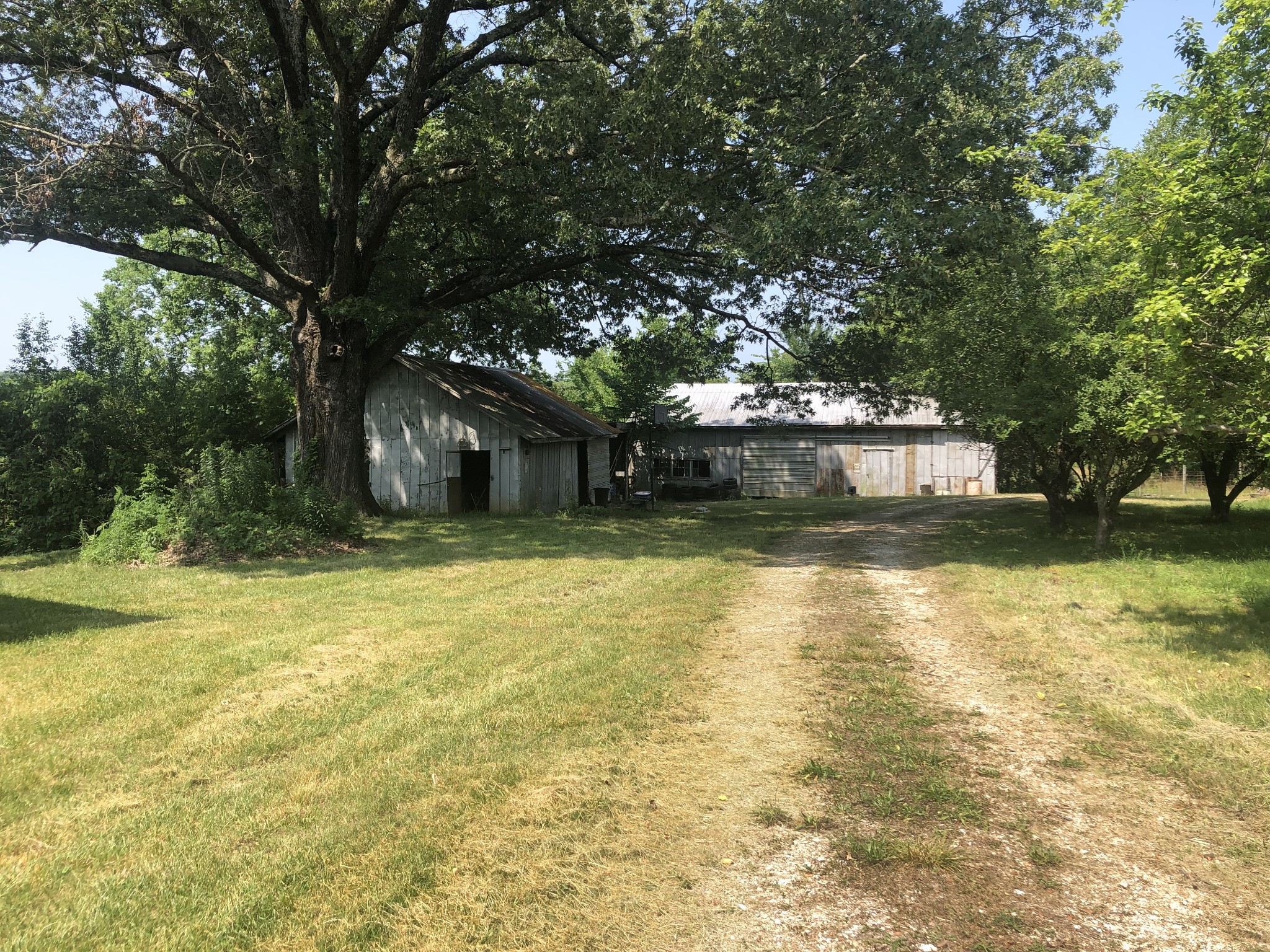 4450 Kelly Road Holladay, TN 38341 - Photo 13 of 28 Gallery Image 13