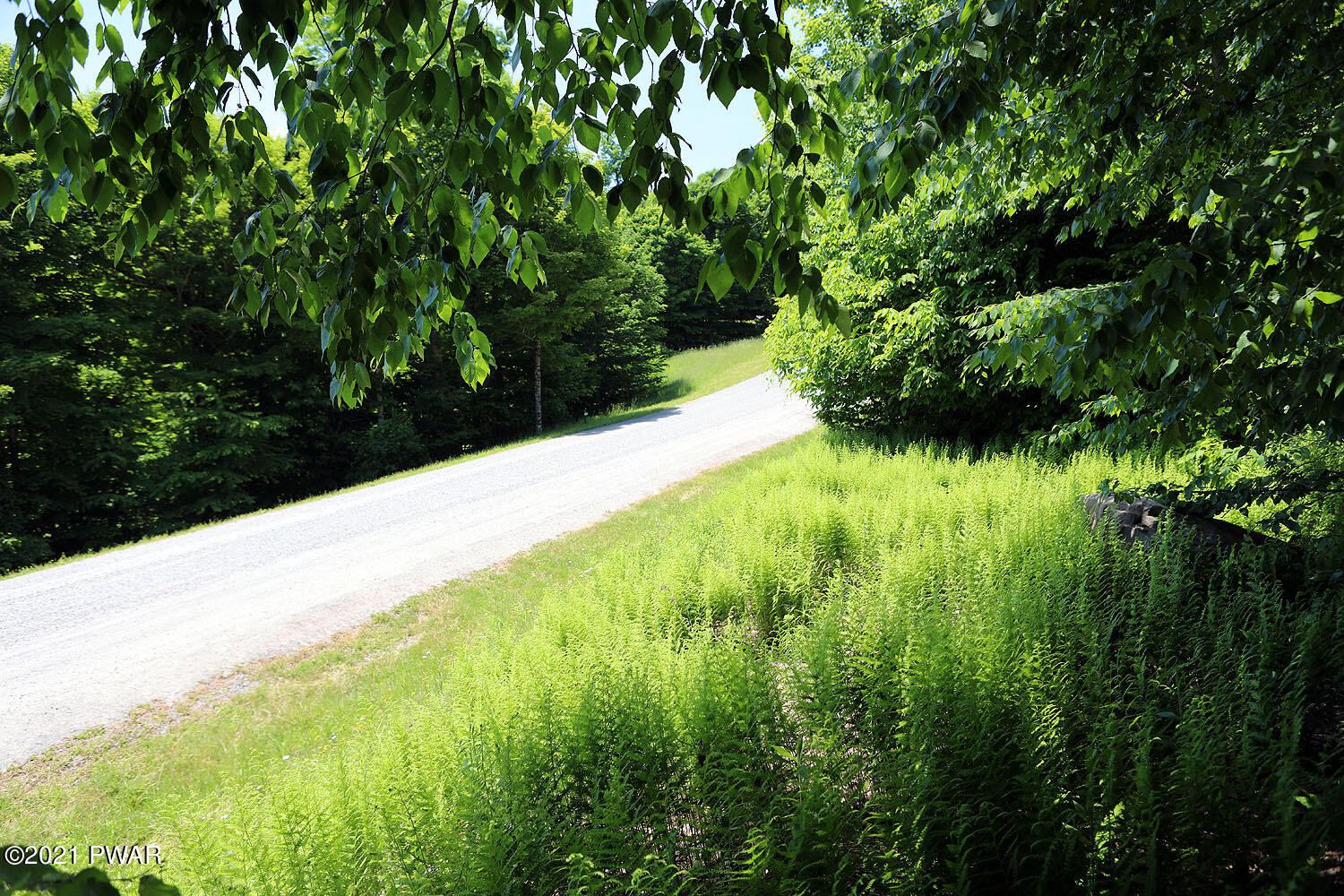 Lot 65 Stonegate Road Equinunk, PA 18417 - Photo 32 of 35 314A5275
