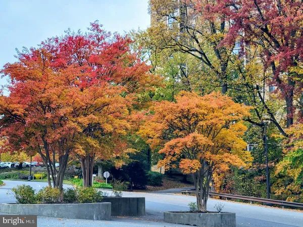 $2,400 | 5903 Mt Eagle Drive, Unit 802, Alexandria, VA 22303