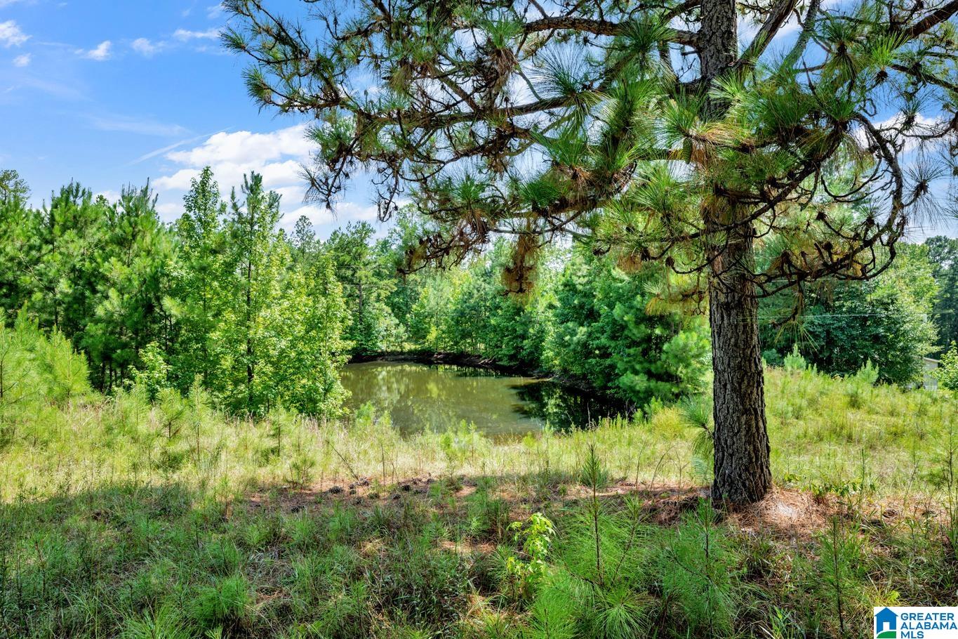 587 Mountain Drive Remlap, AL 35133 - Photo 23 of 34