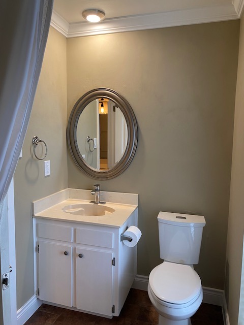 1002 Creekbend Cove Pflugerville, TX 78660 - Photo 6 of 16 Bathroom featuring crown molding, vanity, and dark tile patterned floors