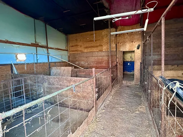 a view of a yard with an trees