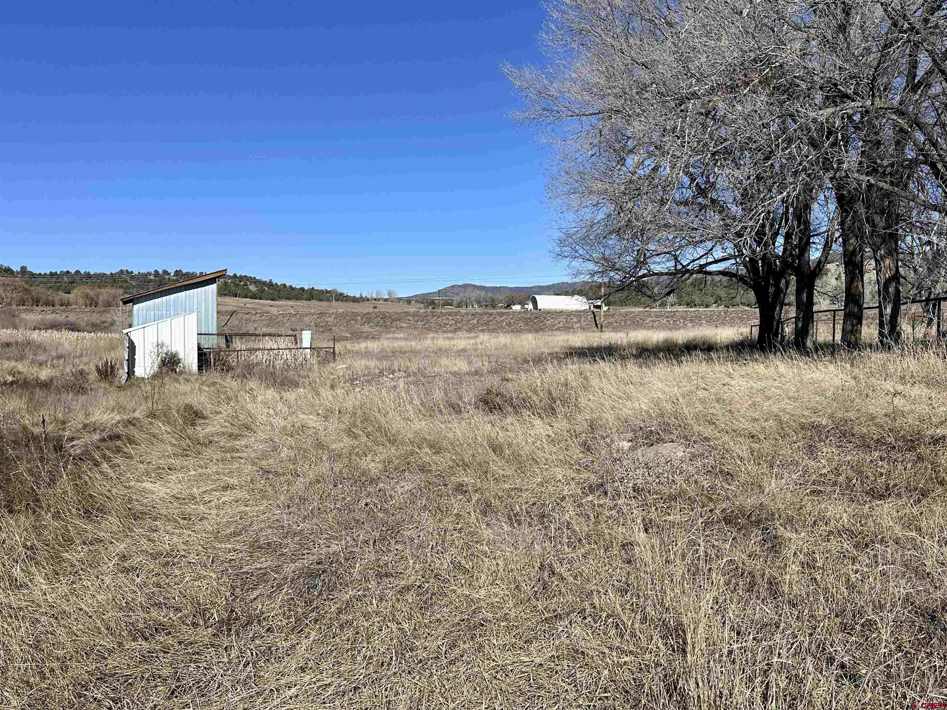 2559 County Road 329 Ignacio, CO 81137 - Photo 27 of 31 a view of a yard with an trees