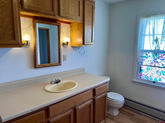 a bathroom with a sink vanity and a toilet