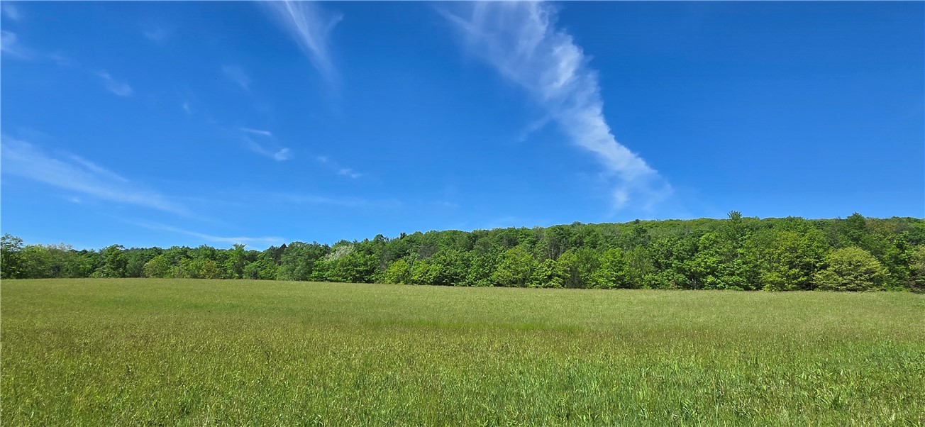 324 Murphy Hill Road Catlin, NY 14845 - Photo 41 of 47