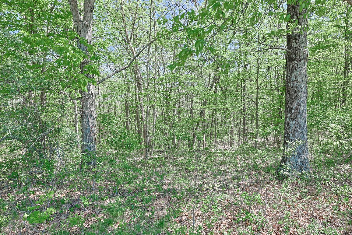 0 Carr Road West Harrison, IN 47060 - Photo 5 of 17