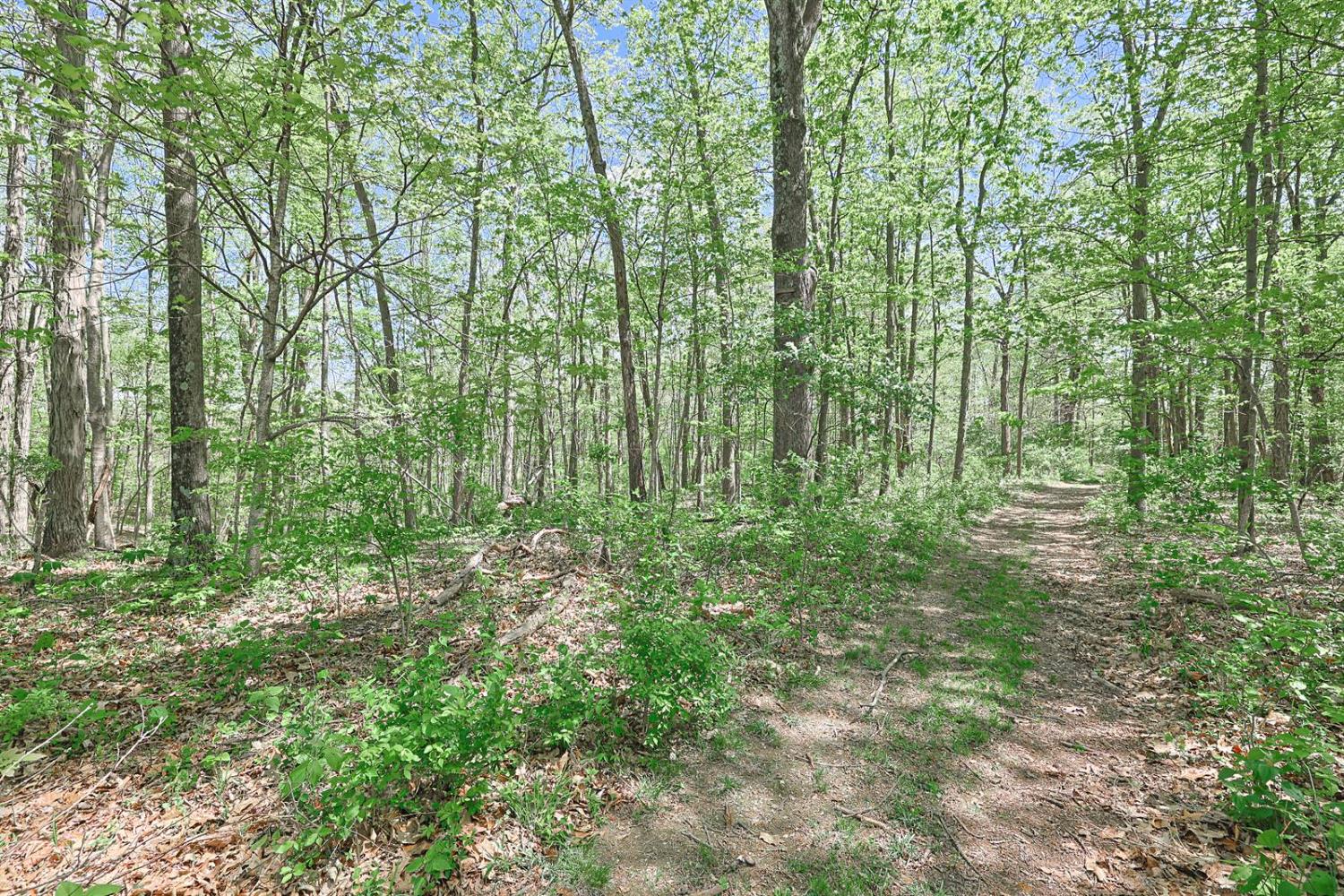 0 Carr Road West Harrison, IN 47060 - Photo 6 of 17