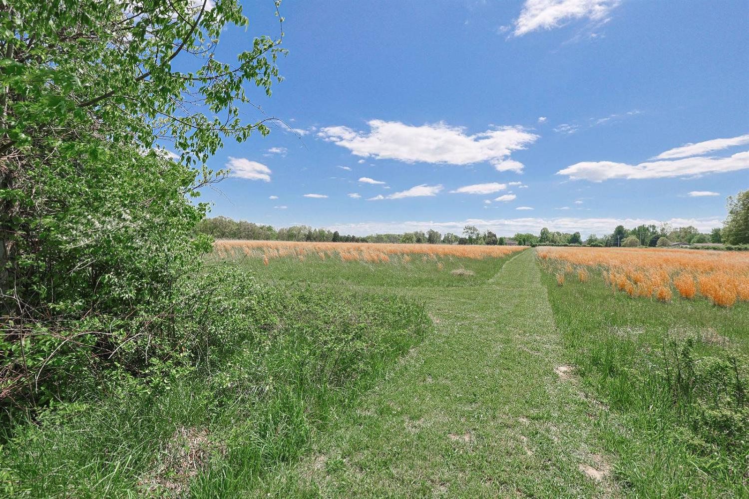 0 Carr Road West Harrison, IN 47060 - Photo 8 of 17