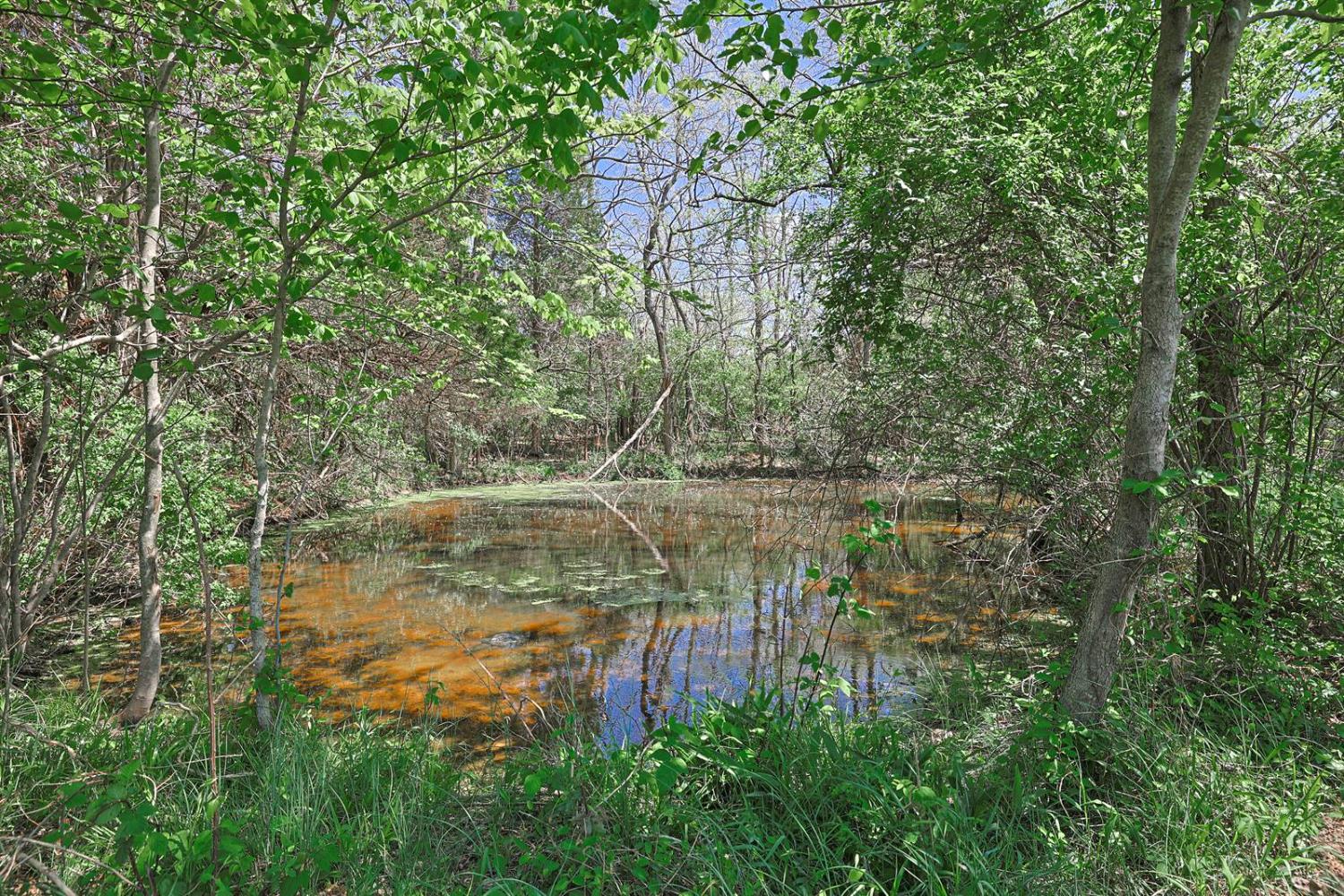 0 Carr Road West Harrison, IN 47060 - Photo 10 of 17