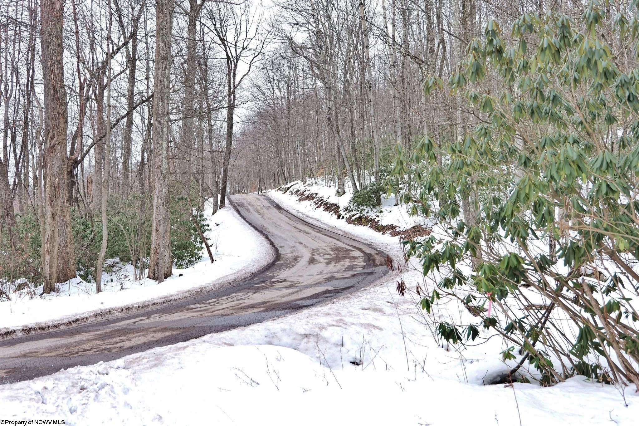 Tbd Frog Hollow Road Tunnelton, WV 26444 - Photo 5 of 22 Gallery Image 5