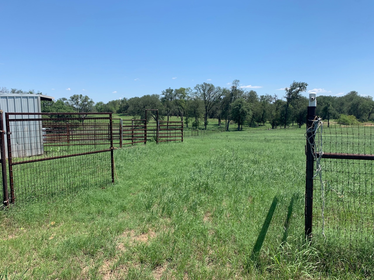 133 Clearfork Road Lockhart, TX 78644 - Photo 17 of 19 a view of lush green space