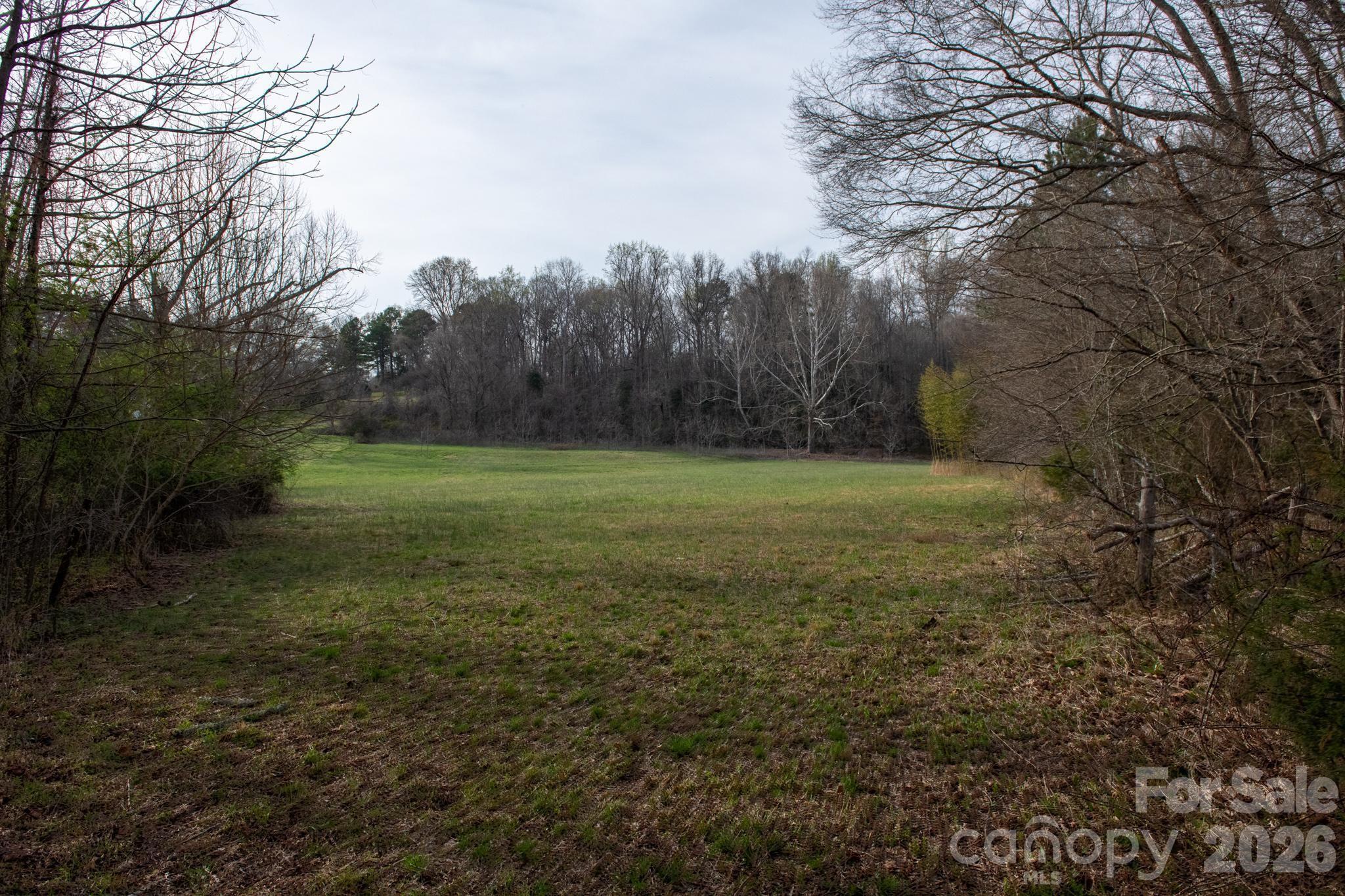 343 Hoyles Creek Road Dallas, NC 28034 - Photo 23 of 31 a view of a field with trees in background
