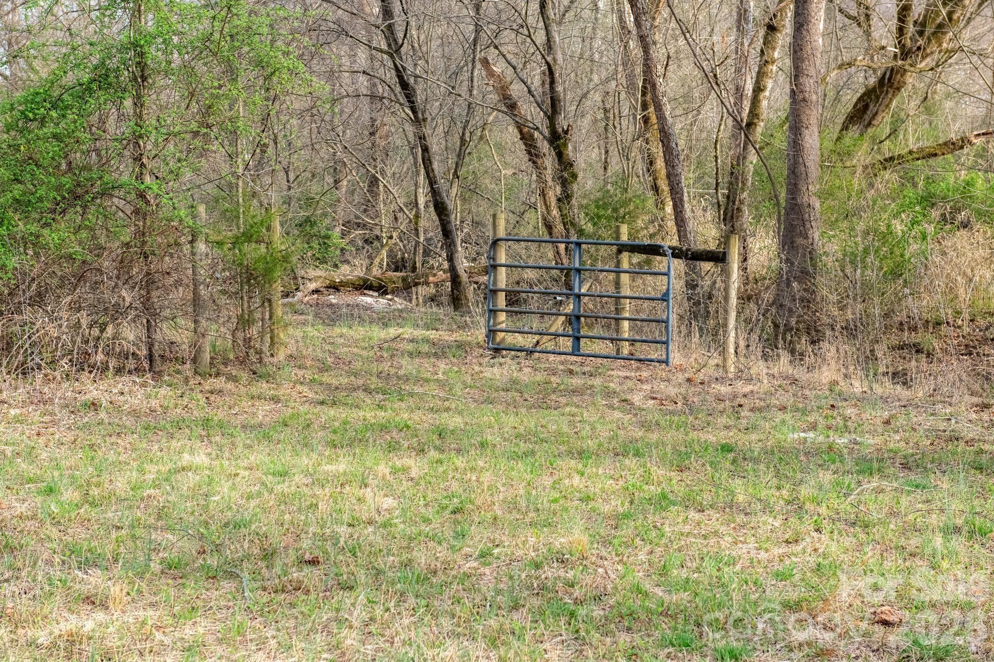 343 Hoyles Creek Road Dallas, NC 28034 - Photo 24 of 31 a view of outdoor space with trees