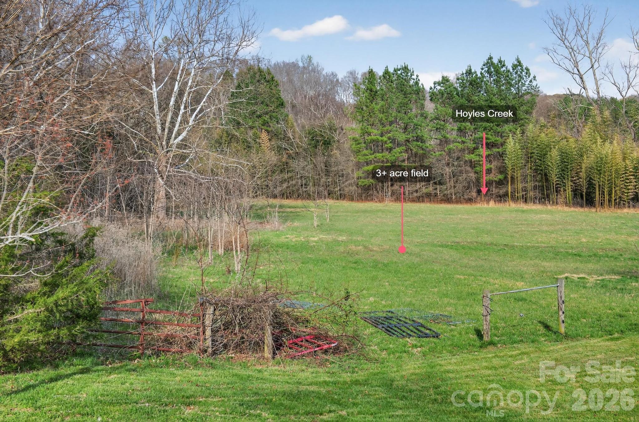 343 Hoyles Creek Road Dallas, NC 28034 - Photo 27 of 31 a view of a field with a tree