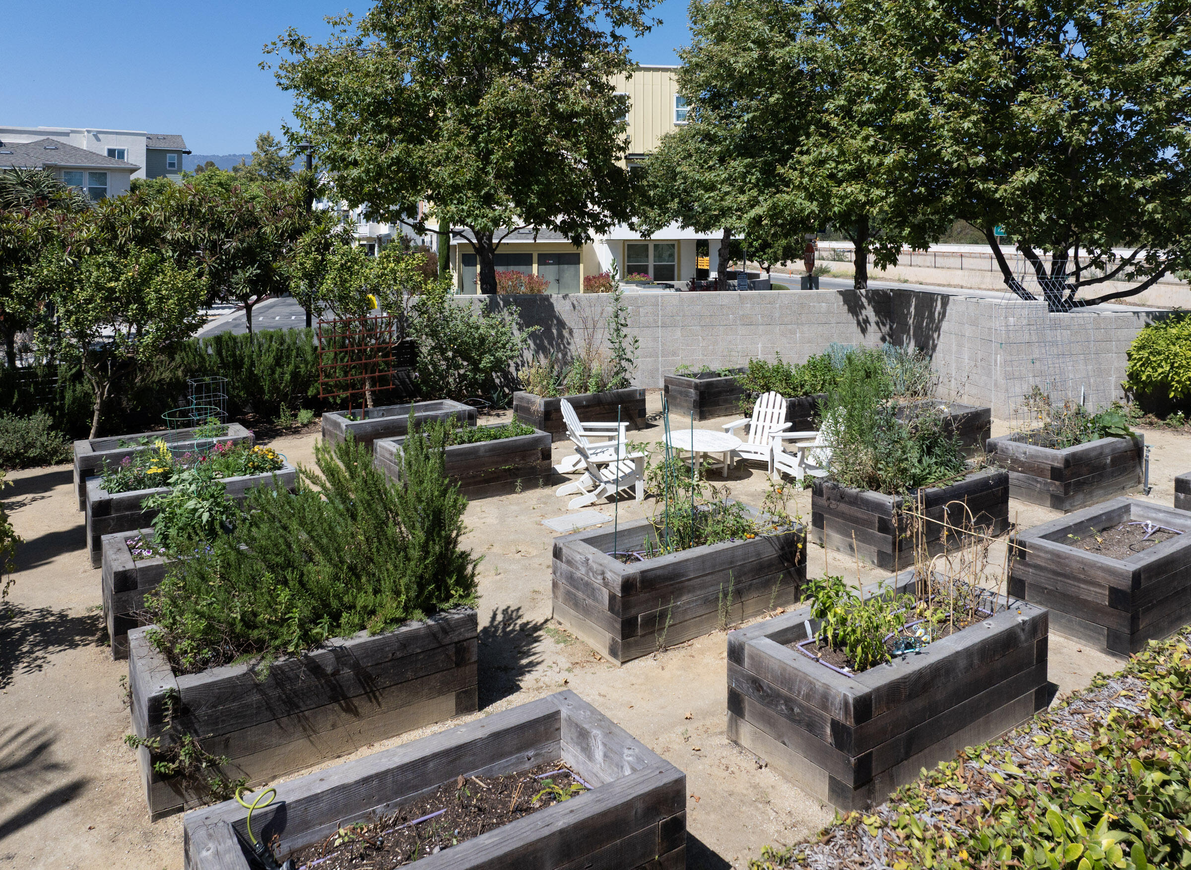 5685 Surfrider Way, Unit 105 Goleta, CA 93117 - Photo 29 of 29 Community Garden