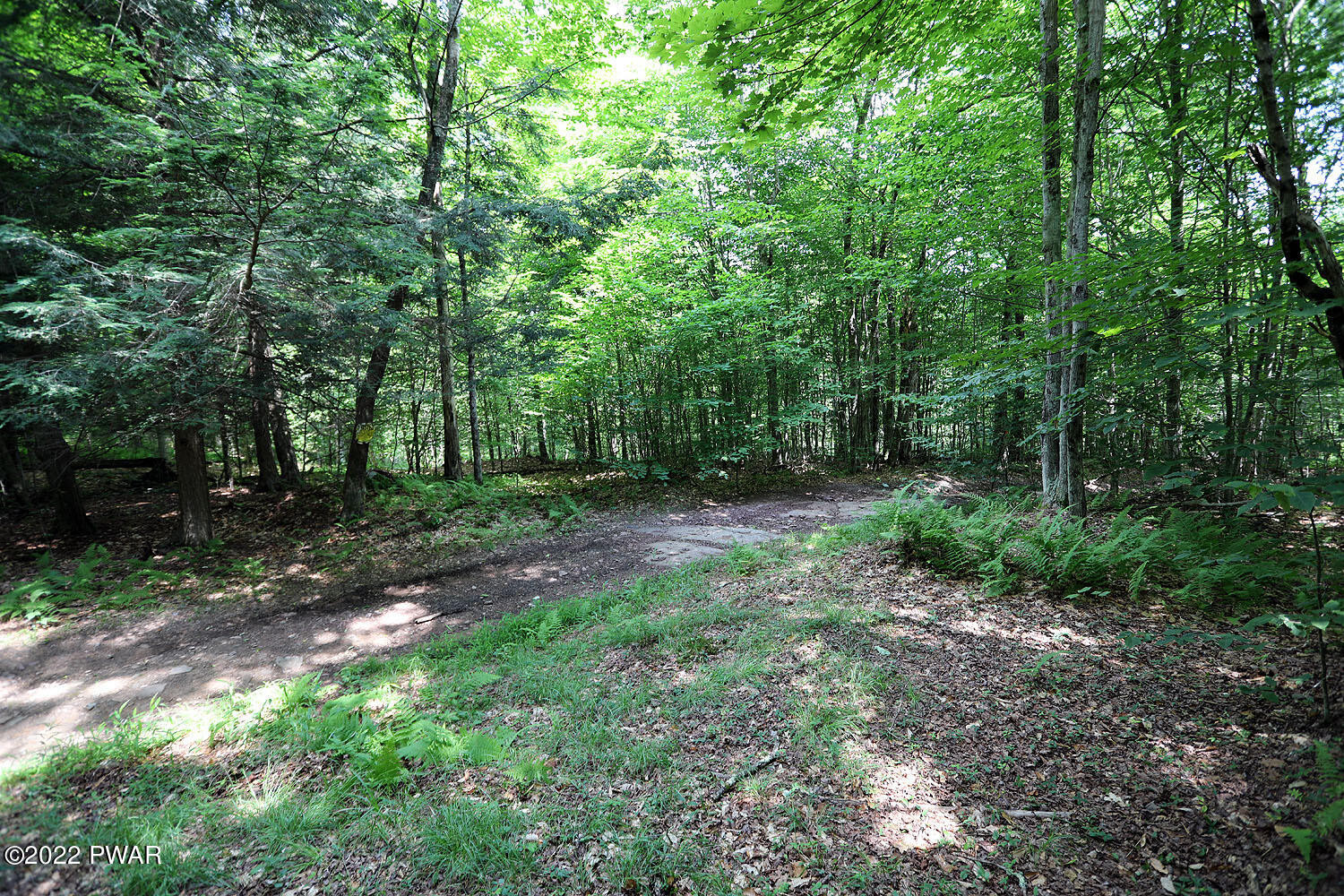 0 Minckler Mountain Road Damascus, PA 18415 - Photo 10 of 43