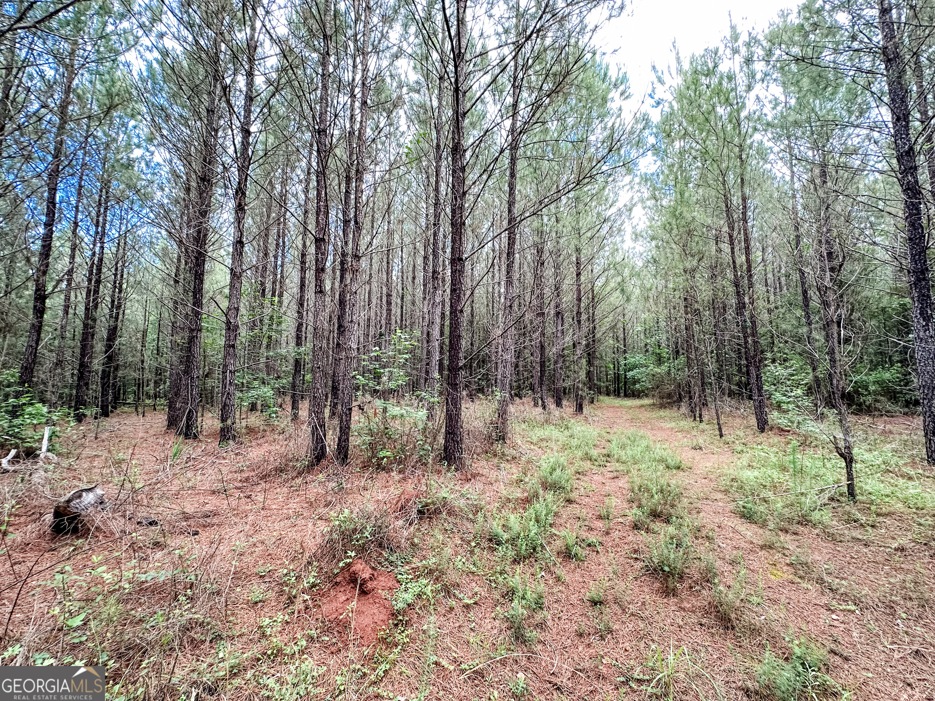 52.4-acres Goolsby Road, Unit 52 4 ACRES Monticello, GA 31064 - Photo 20 of 25