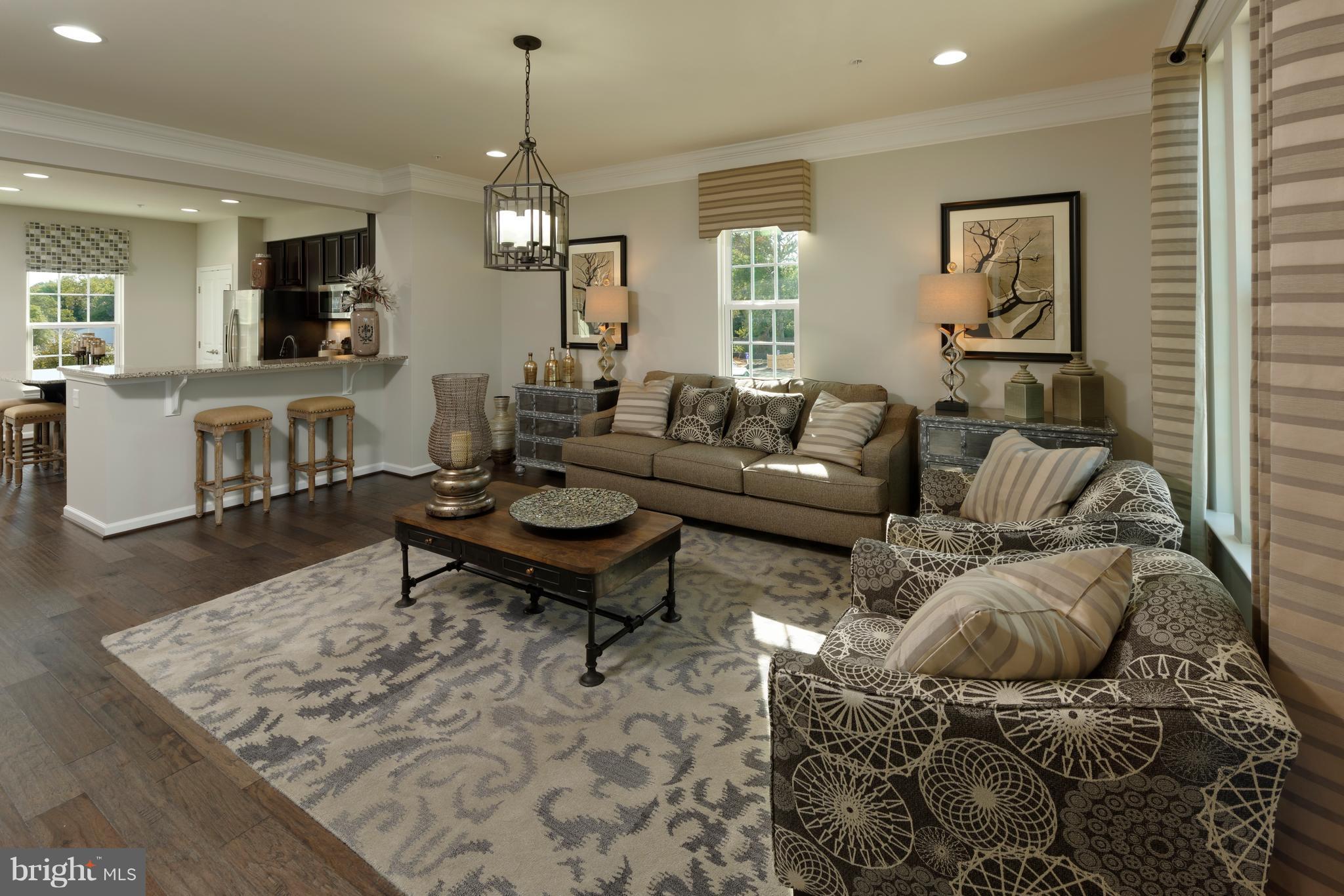 9507 Watts Road Owings Mills, MD 21117 - Photo 19 of 29 Living Room