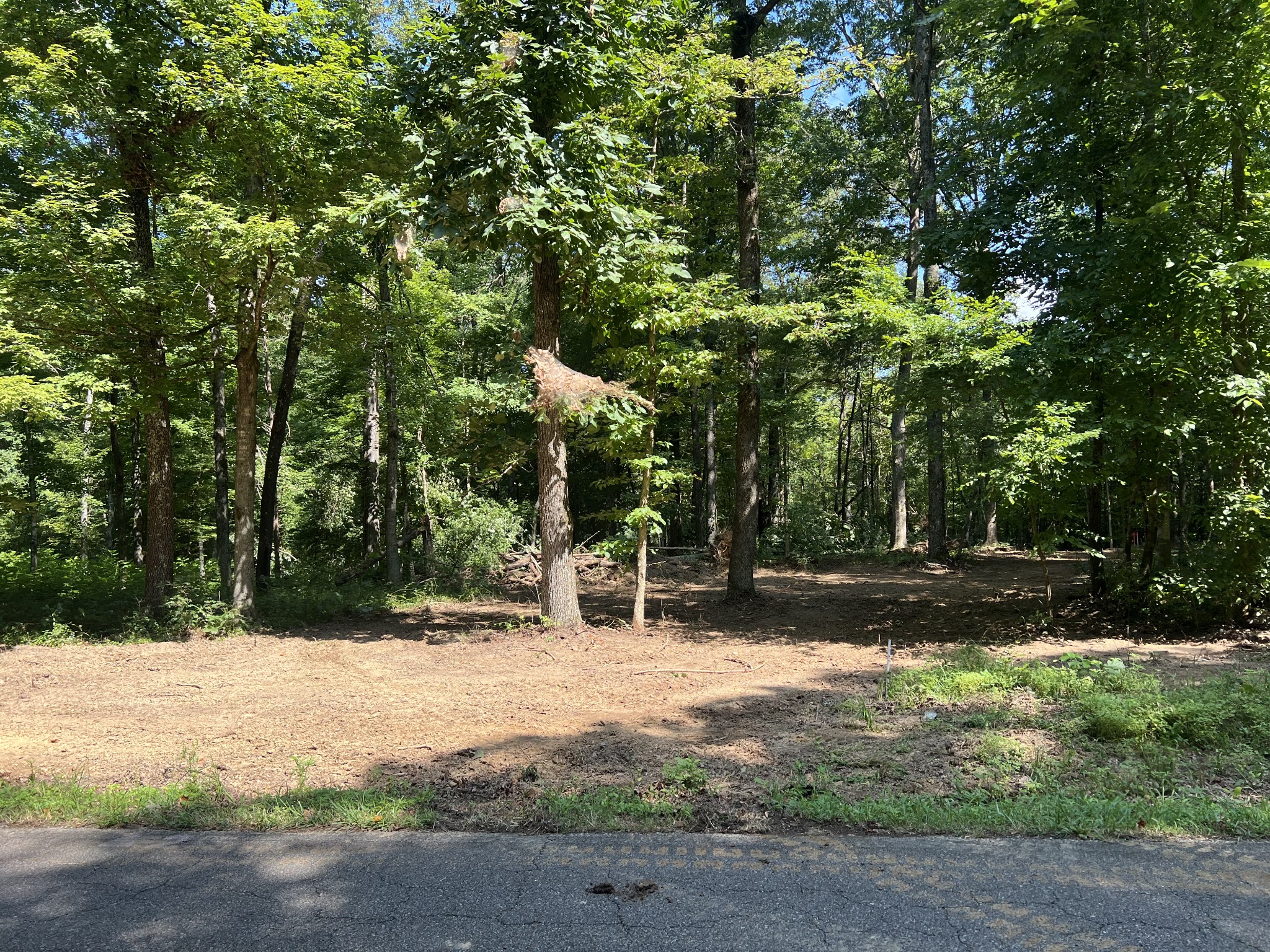1016 Porter Road Burns, TN 37029 - Photo 1 of 3 a backyard of a house with trees and outdoor space
