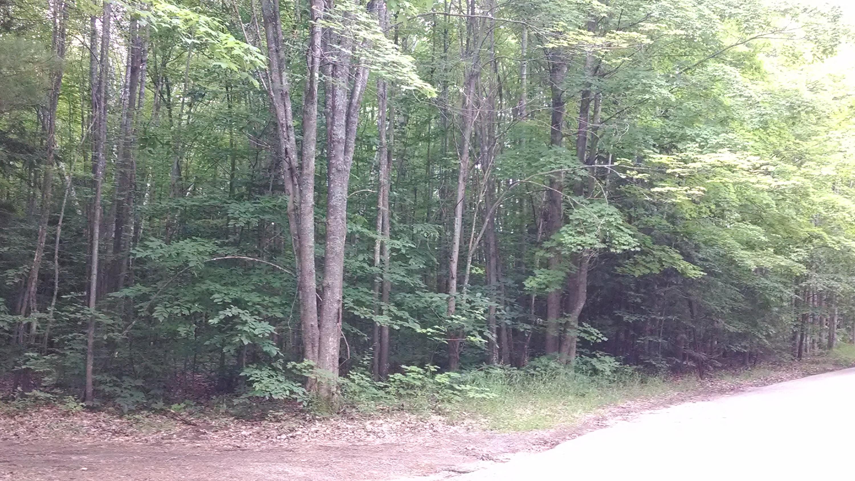 County Park Road Gaylord, MI 49735 - Photo 6 of 10 Gallery Image 6