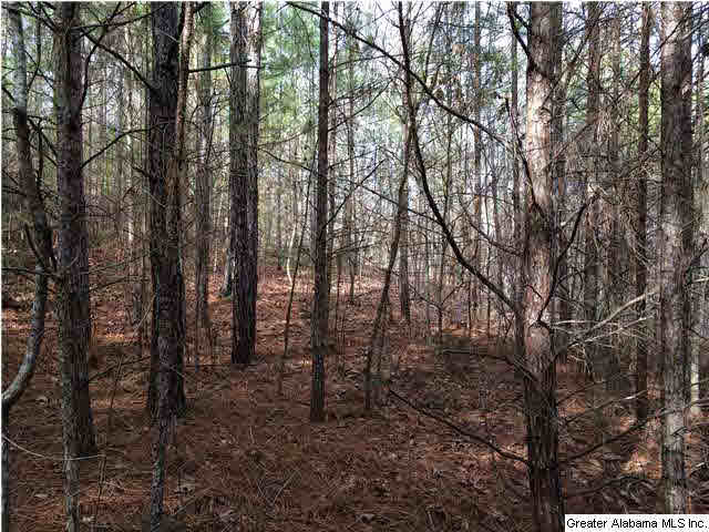 734 Valley Grove Road, Unit 15 4 ACR Remlap, AL 35133 - Photo 4 of 32