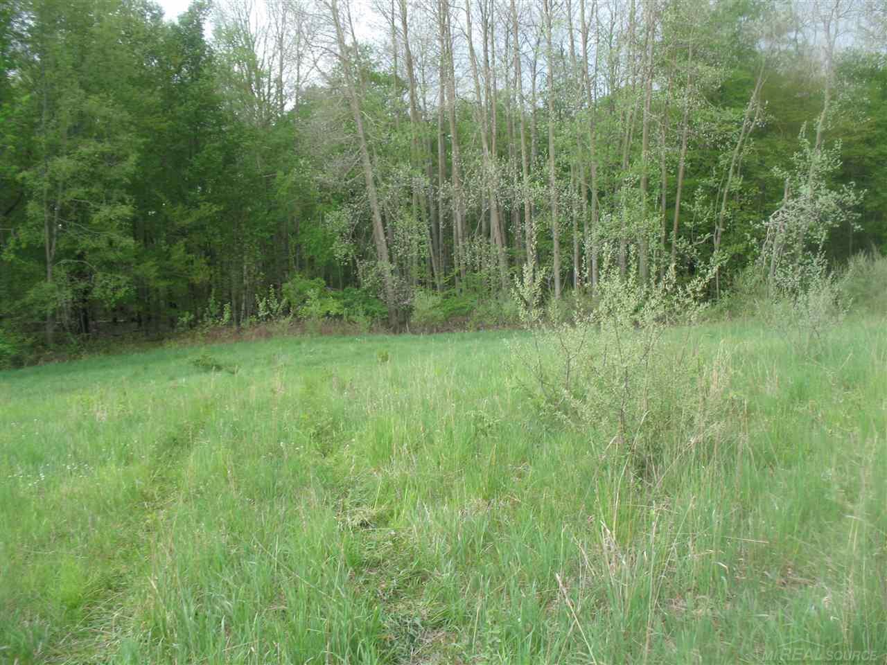 375 Charleston Road Ubly, MI 48475 - Photo 36 of 67 31380513-35.JPG