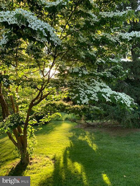 260 Friendship Road Monmouth Junction, NJ 08852 - Photo 32 of 45 Gallery Image 32