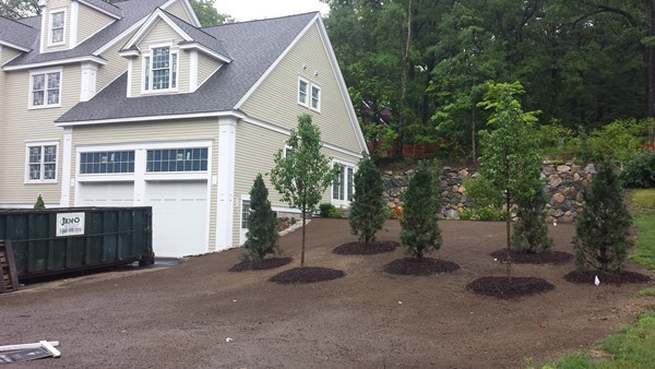 49 Sunset Road Winchester, MA 01890 - Photo 3 of 13