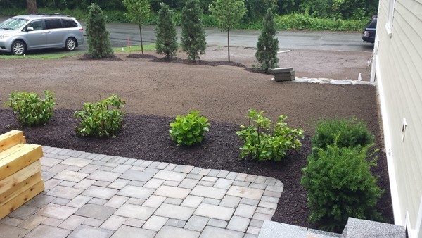 49 Sunset Road Winchester, MA 01890 - Photo 4 of 13