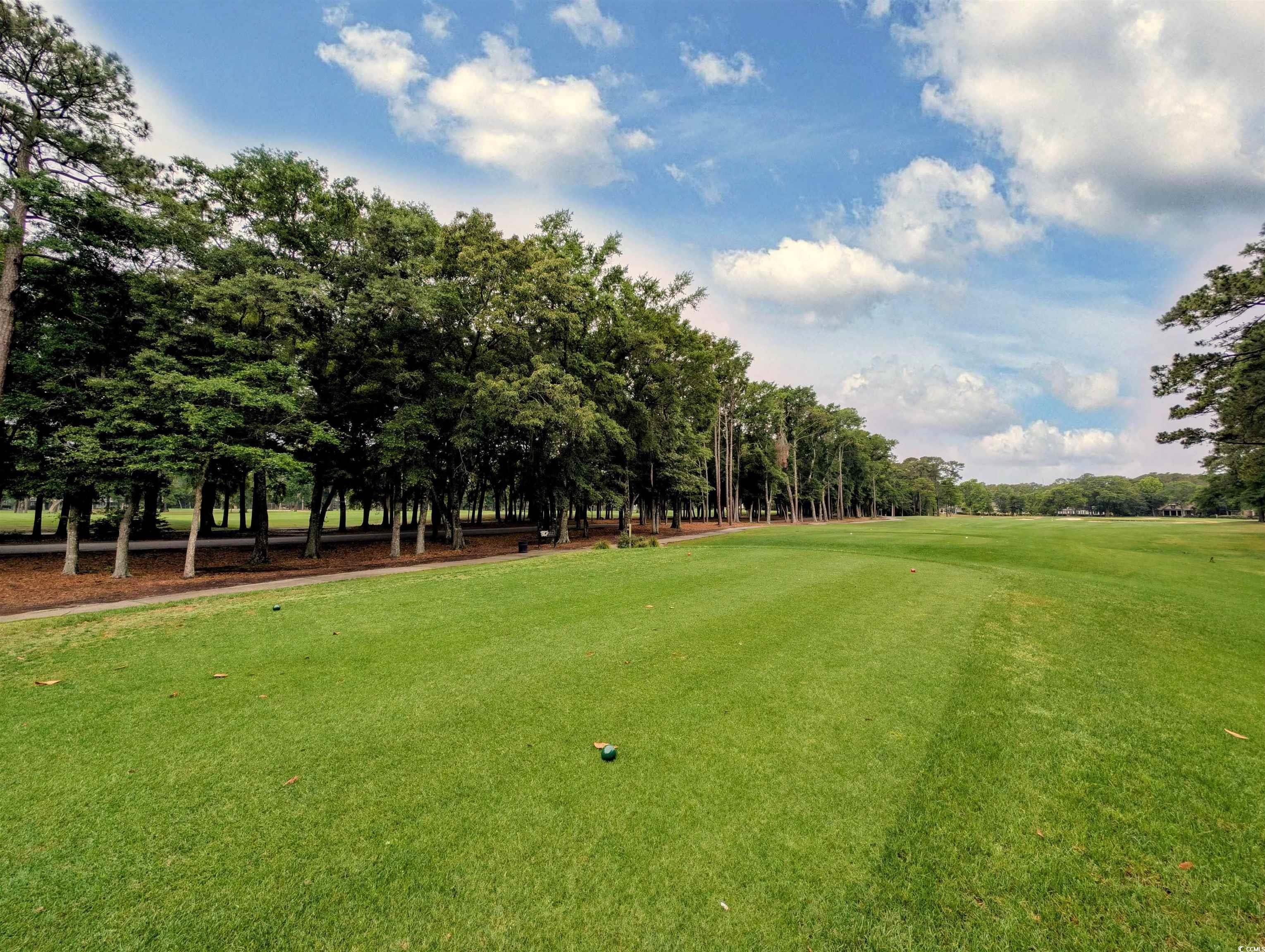 75-4 Weehawka Way, Unit 4 Pawleys Island, SC 29585 - Photo 33 of 40