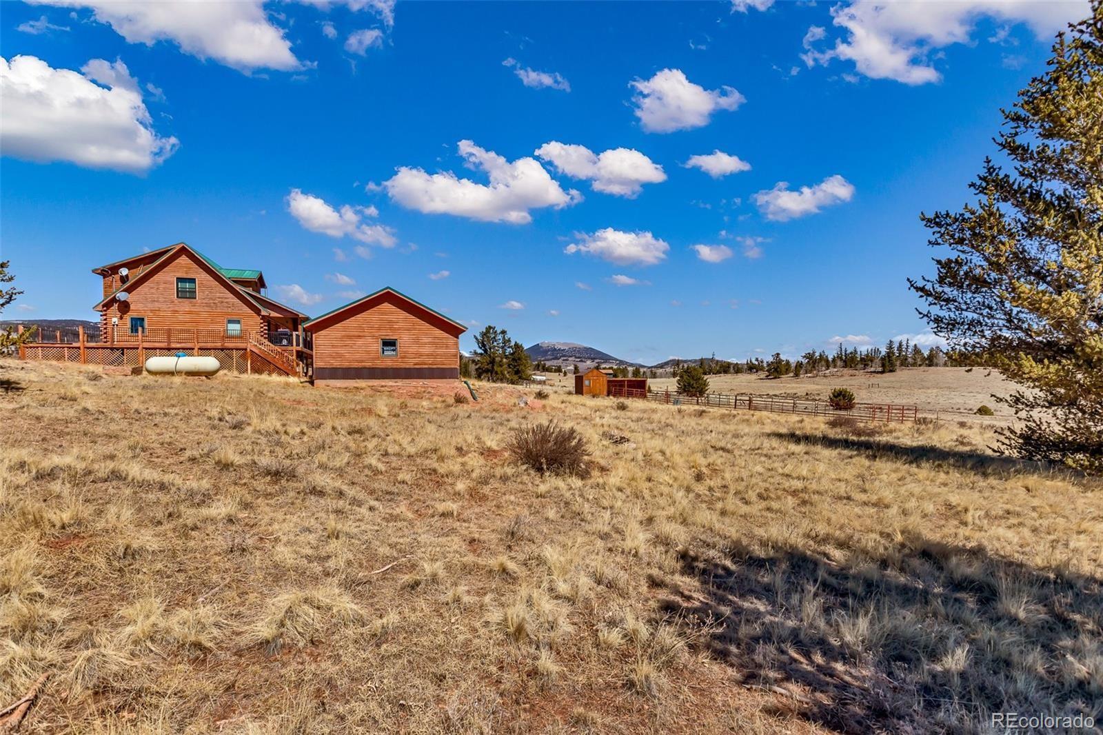 1528 Silver Heels Road Fairplay, CO 80440 - Photo 50 of 50 a view of a dry yard with lots of trees